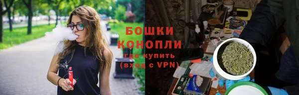 PSILOCYBIN Богданович