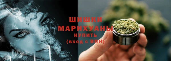 PSILOCYBIN Богданович