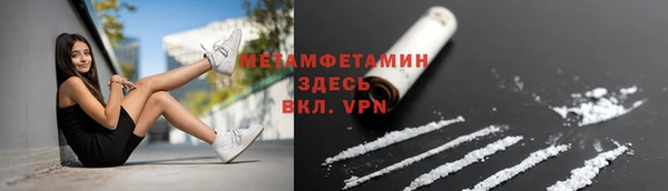 PSILOCYBIN Богданович
