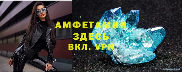PSILOCYBIN Богданович